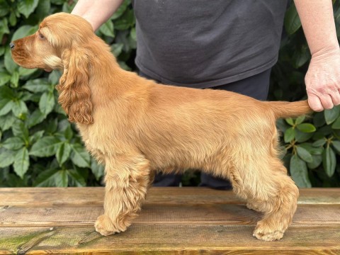 WhatsApp Image 2024 12 31 At 17.14.13 480x360